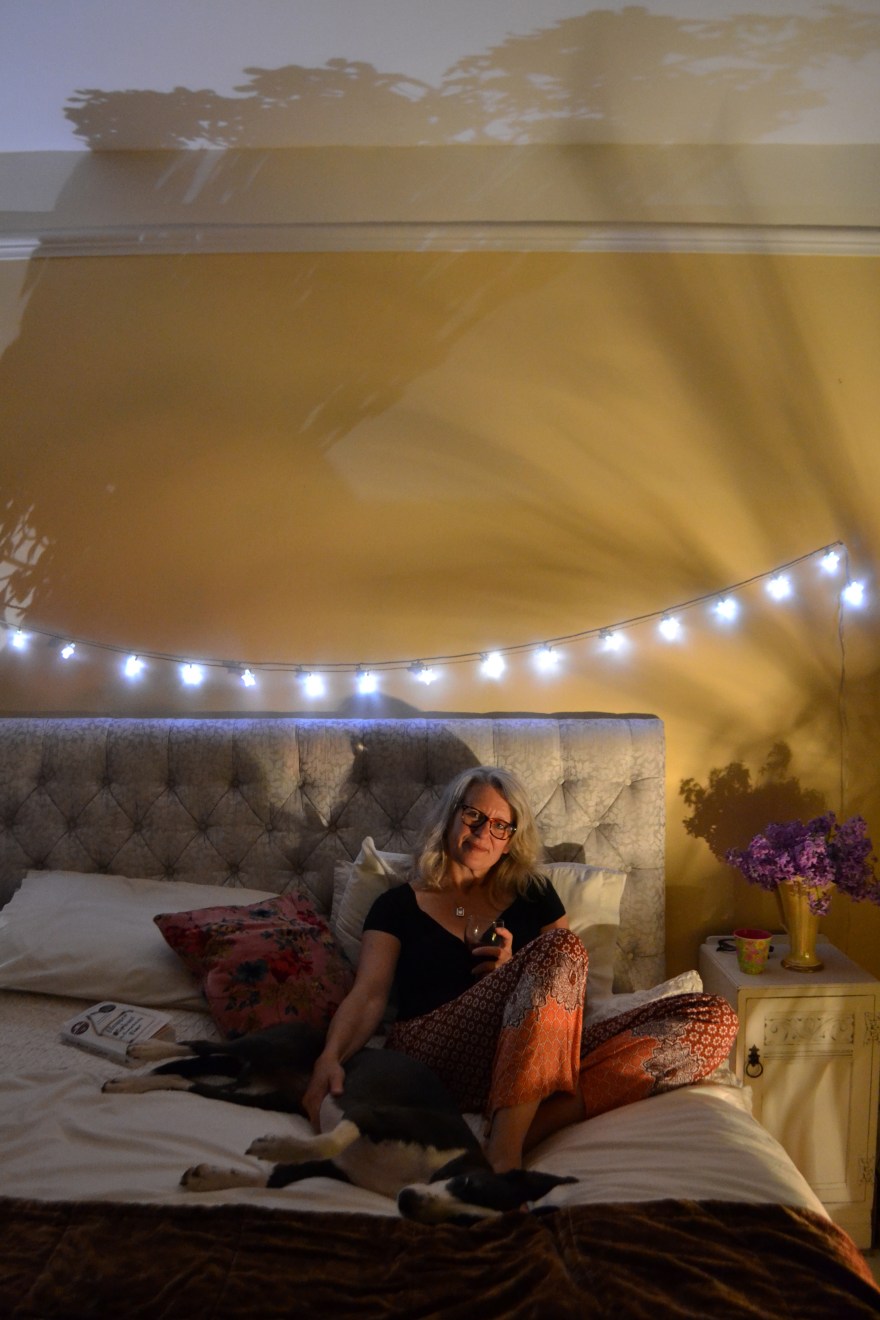 Jacky, dog and shadows